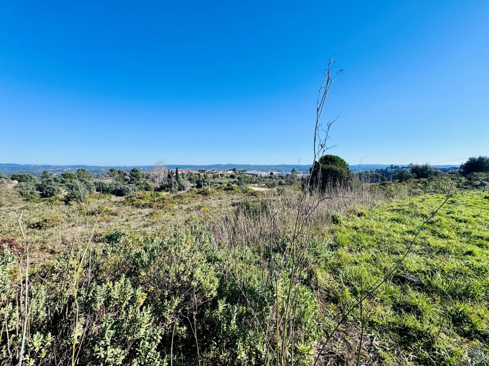 Terreno para Venda em São Pedro de Tomar Foto 22