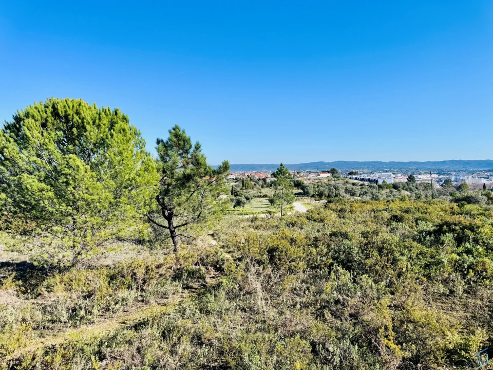 Terreno para Venda em São Pedro de Tomar Foto 6