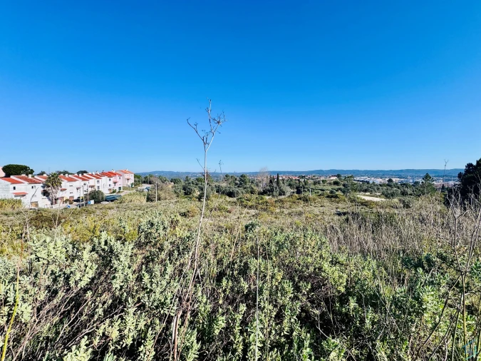 Terreno para Venda em São Pedro de Tomar Foto 23