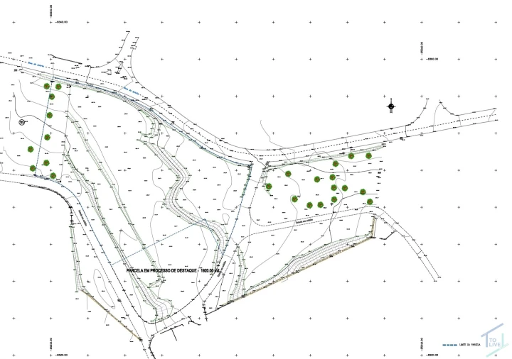Terreno para Venda em São Pedro de Tomar Foto 10