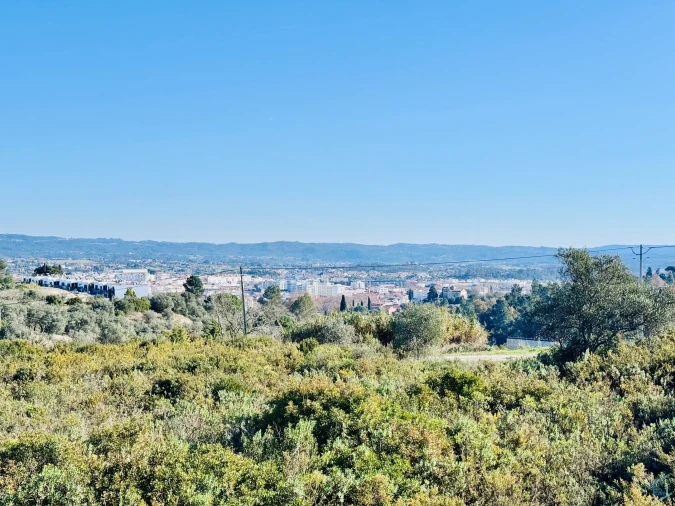 Terreno para Venda em São Pedro de Tomar Foto 7
