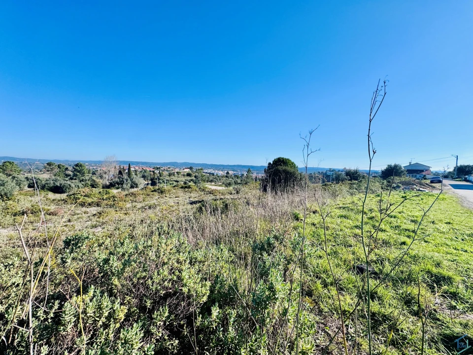 Terreno para Venda em São Pedro de Tomar Foto 24