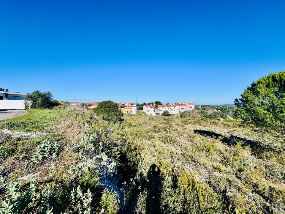 Terreno para Venda em São Pedro de Tomar Foto 8