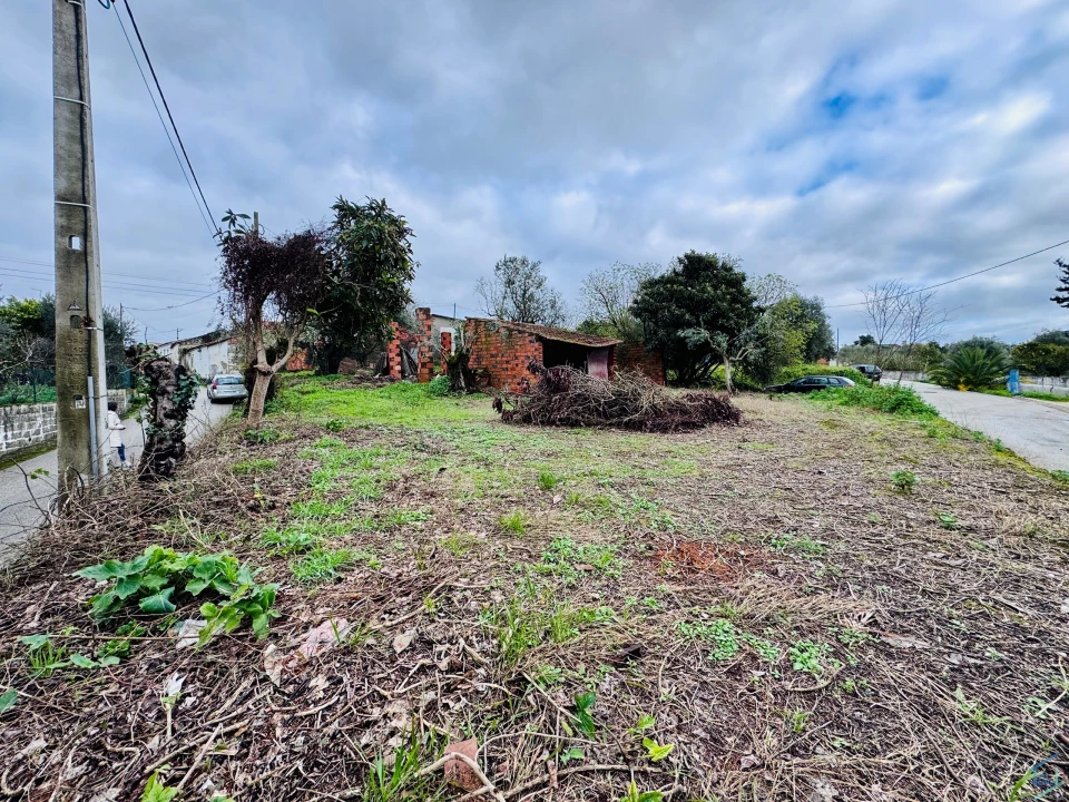 Terreno para Venda em Paialvo Foto 6