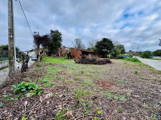 Terreno para Venda em Paialvo Foto 6