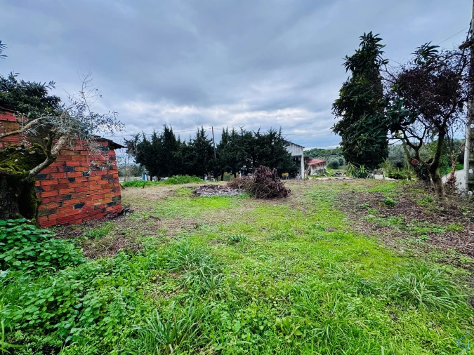 Terreno para Venda em Paialvo Foto 2