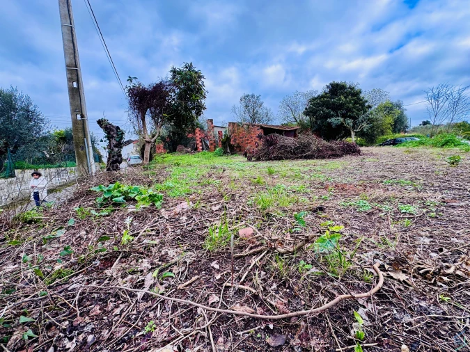 Terreno para Venda em Paialvo Foto 8