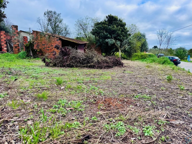 Terreno para Venda em Paialvo Foto 4