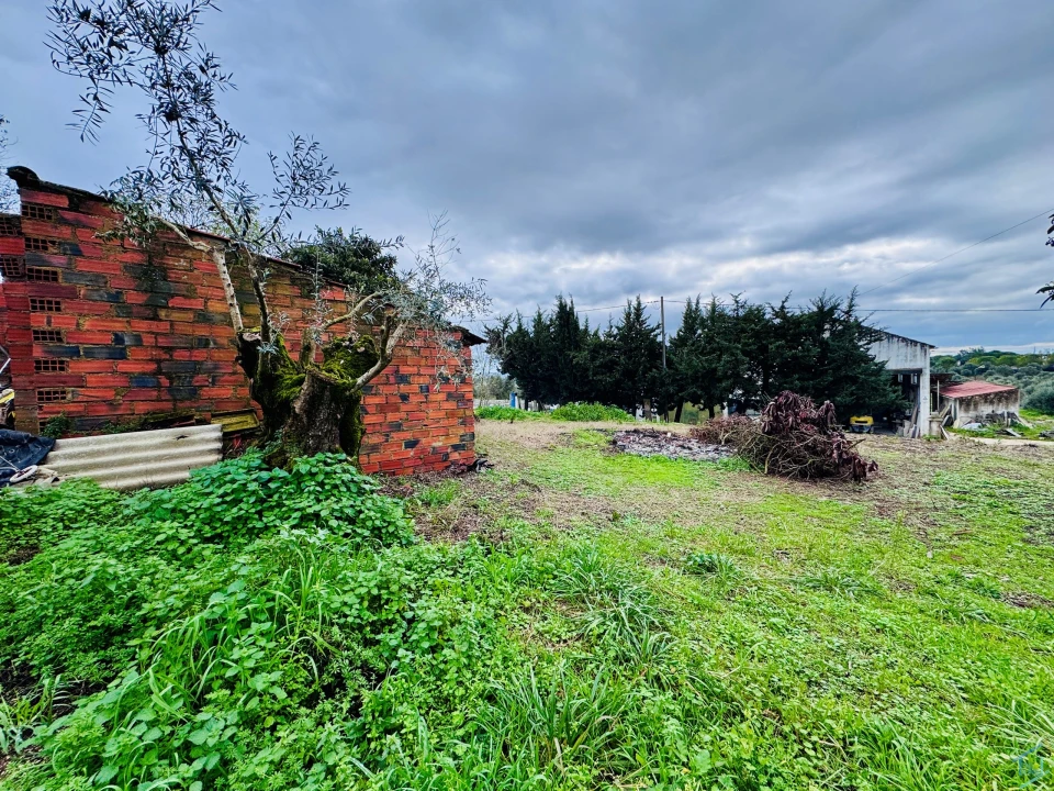 Terreno para Venda em Paialvo Foto 1