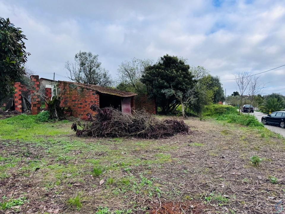 Terreno para Venda em Paialvo Foto 3