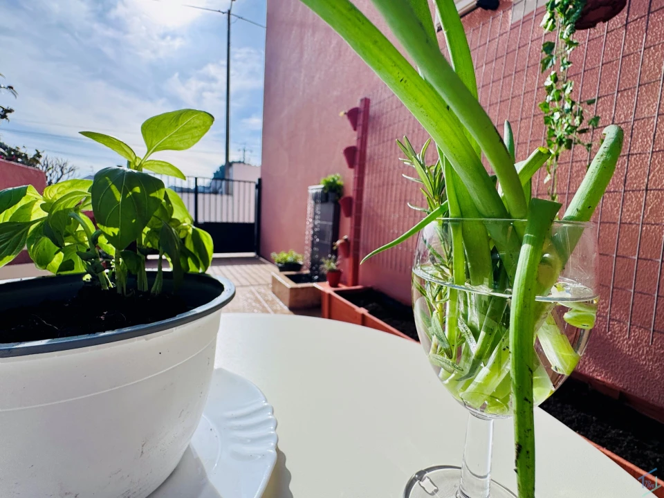 Moradia T4 para Venda em Asseiceira Foto 31