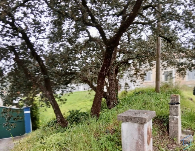 Moradia T3 para Venda em Assentiz Foto 8