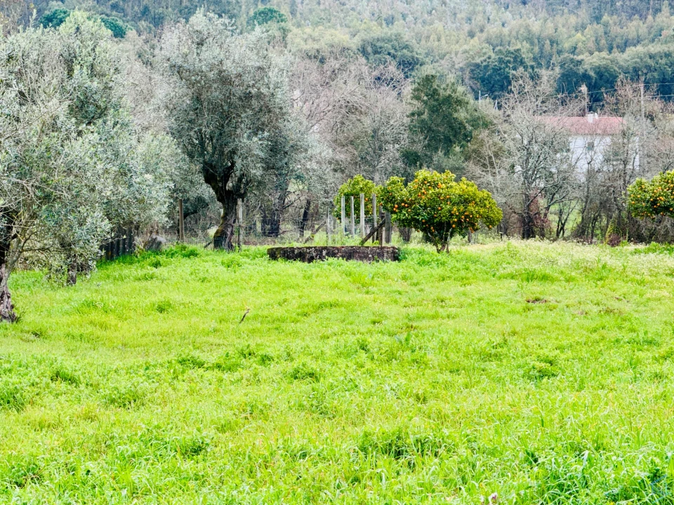 Moradia T5 para Venda em Areias e Pias Foto 34