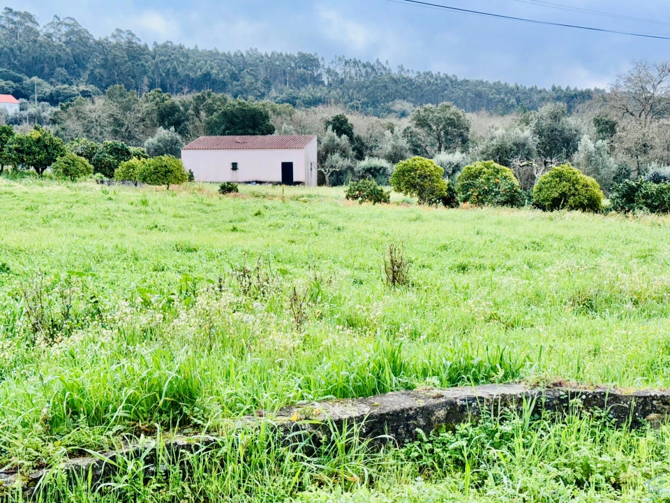 Moradia T5 para Venda em Areias e Pias Foto 37