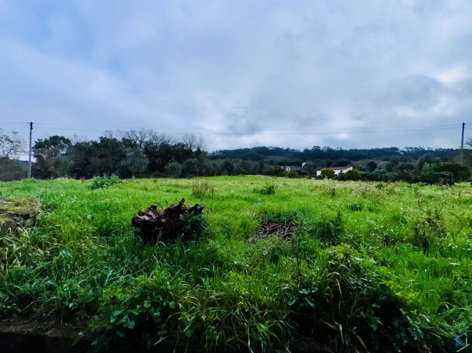 Moradia T5 para Venda em Areias e Pias Foto 38