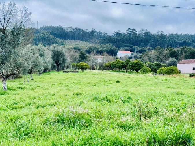 Moradia T5 para Venda em Areias e Pias Foto 36