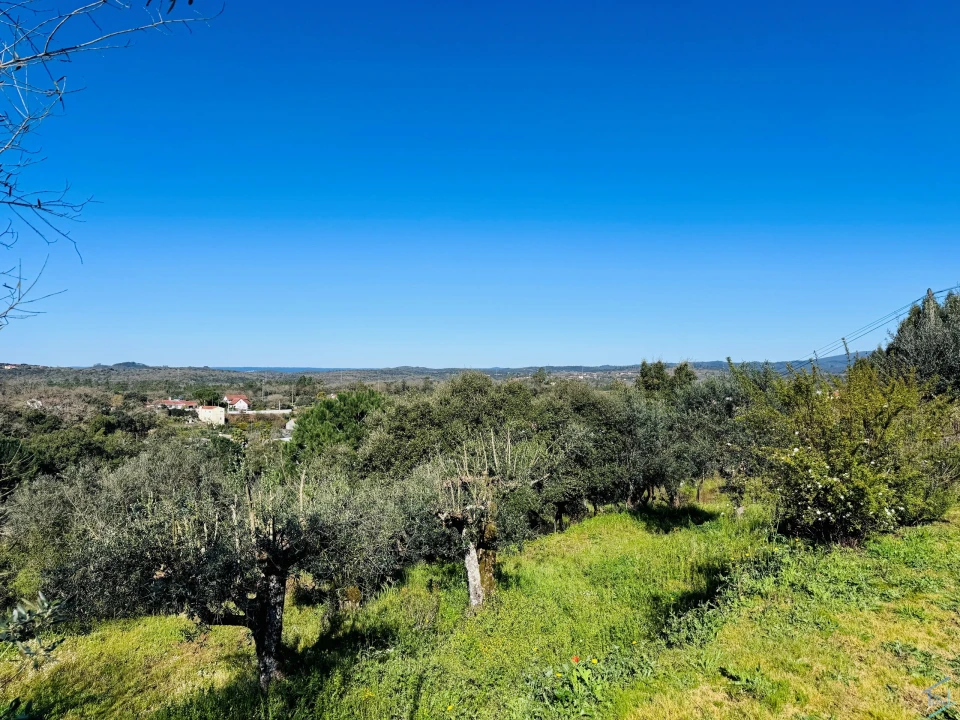 Moradia T2 para Venda em Areias e Pias Foto 26