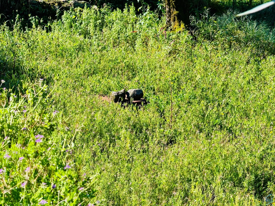 Moradia T2 para Venda em Areias e Pias Foto 23