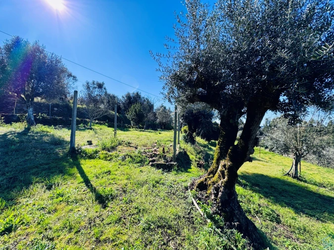 Moradia T2 para Venda em Areias e Pias Foto 30