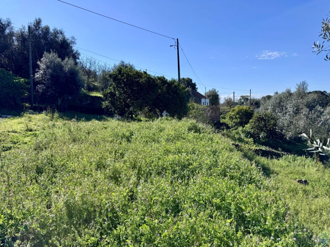 Moradia T2 para Venda em Areias e Pias Foto 24