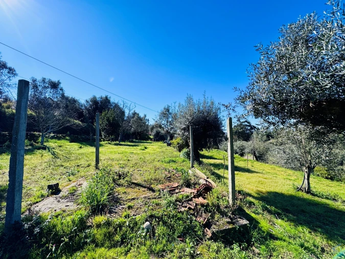 Moradia T2 para Venda em Areias e Pias Foto 31