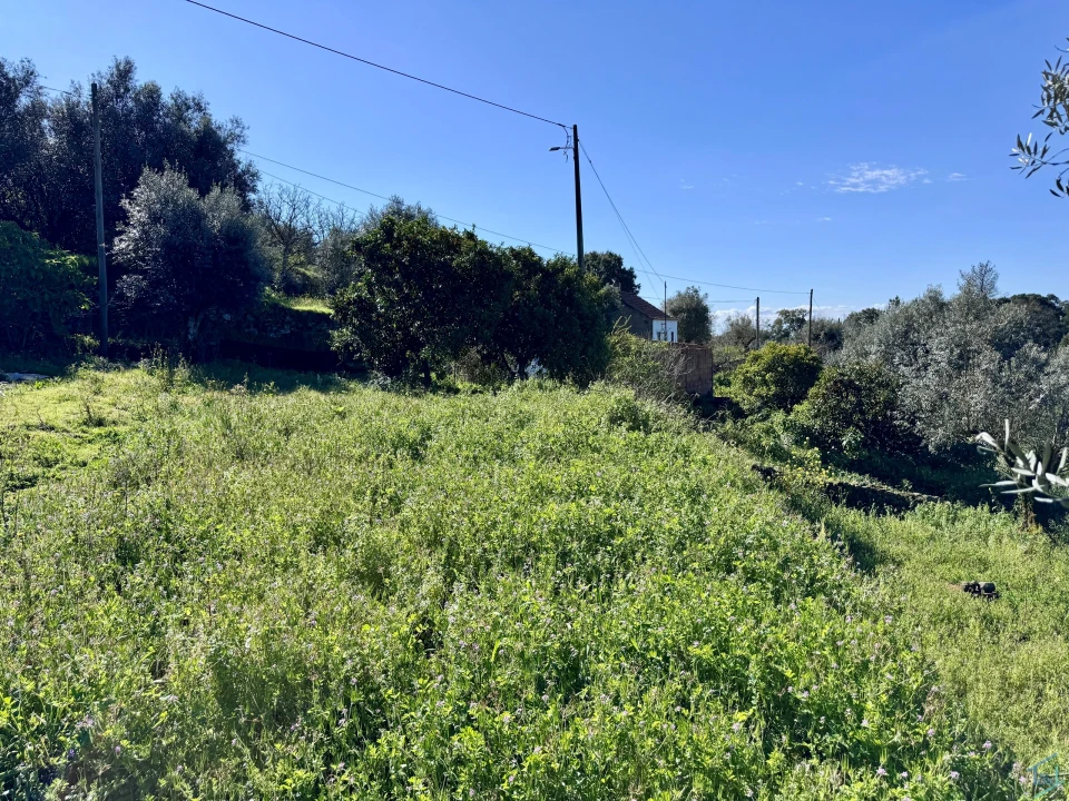 Moradia T2 para Venda em Areias e Pias Foto 24