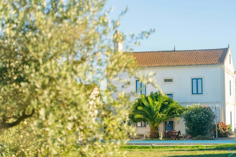 Moradia T5 para Venda em Nossa Senhora do Pranto Foto 35