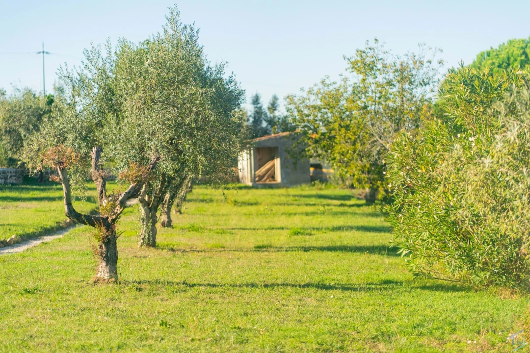 Moradia T5 para Venda em Nossa Senhora do Pranto Foto 36