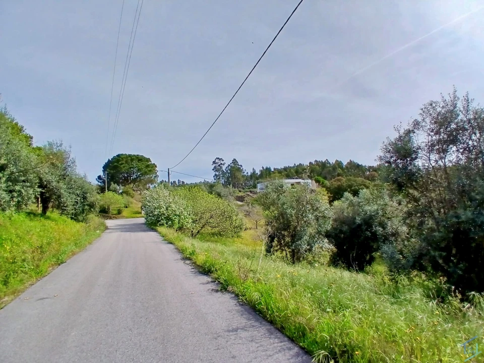 Terreno para Venda em São Pedro de Tomar Foto 6