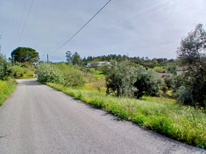 Terreno para Venda em São Pedro de Tomar Foto 11