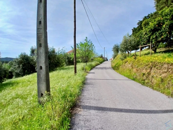 Terreno para Venda em São Pedro de Tomar Foto 4