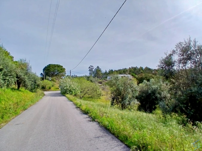 Terreno para Venda em São Pedro de Tomar Foto 6