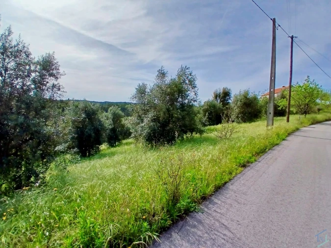 Terreno para Venda em São Pedro de Tomar Foto 14