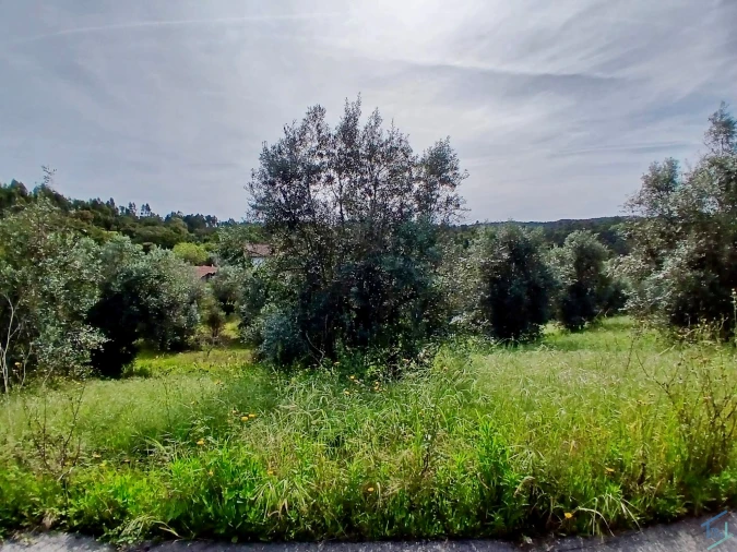 Terreno para Venda em São Pedro de Tomar Foto 3