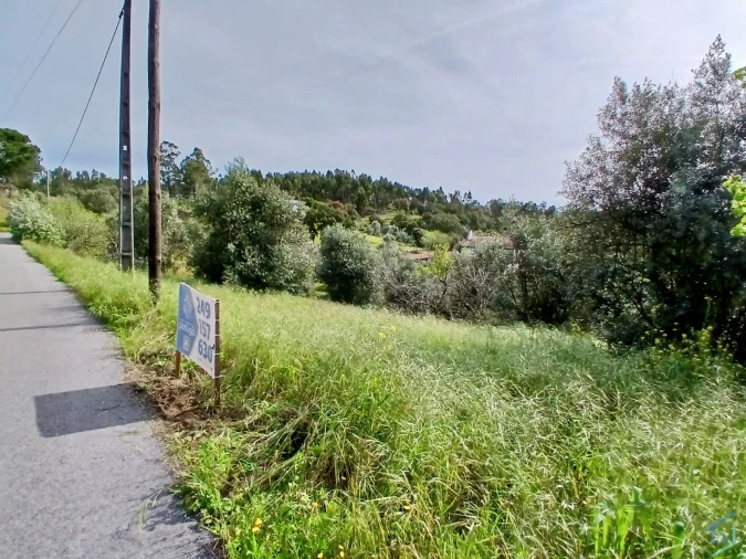 Terreno para Venda em São Pedro de Tomar Foto 13