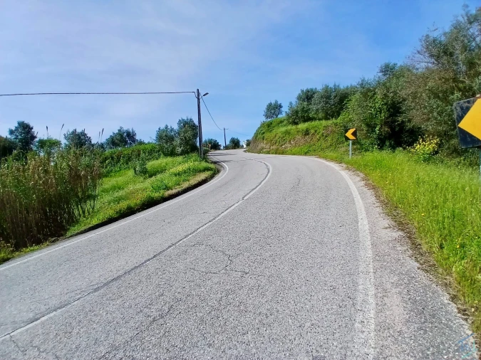 Terreno para Venda em São Pedro de Tomar Foto 15