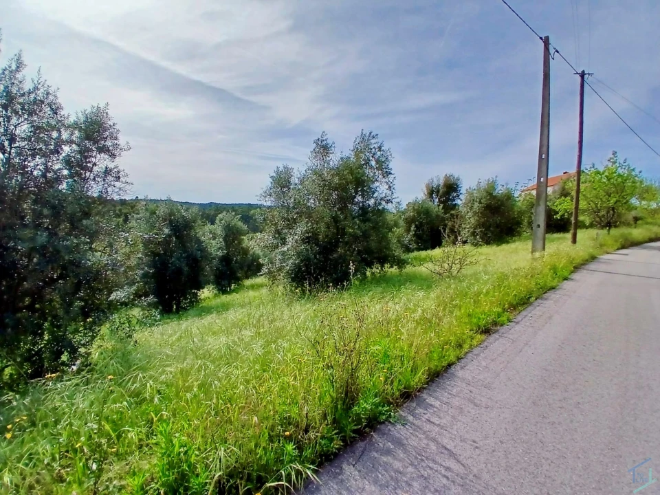 Terreno para Venda em São Pedro de Tomar Foto 14