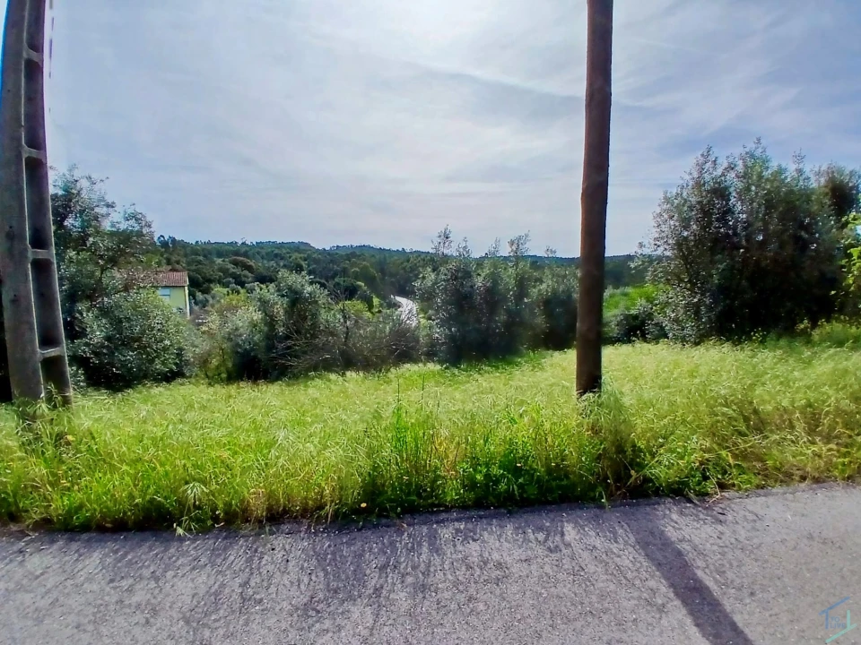 Terreno para Venda em São Pedro de Tomar Foto 9