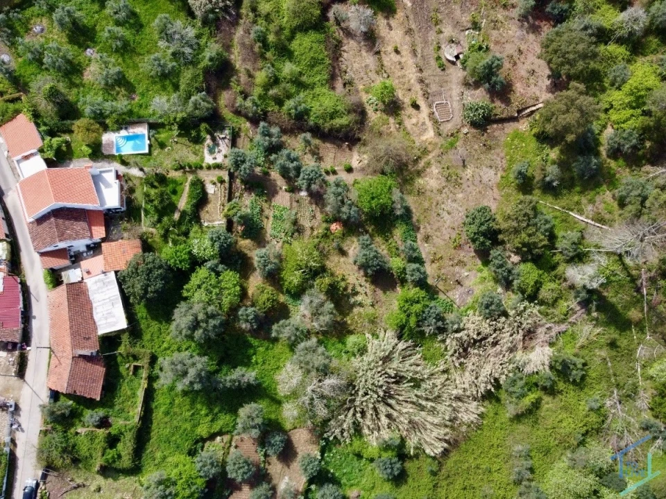 Moradia T3 para Venda em Olalhas Foto 30