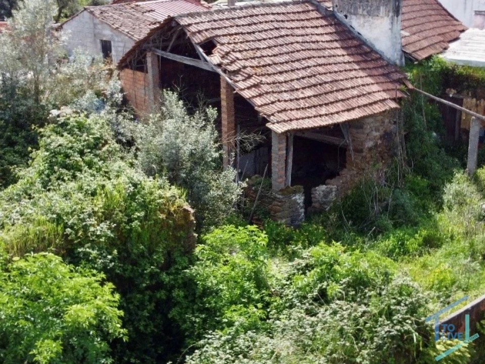 Moradia T3 para Venda em Olalhas Foto 38