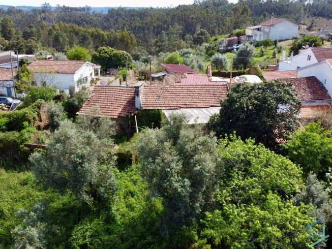 Moradia T3 para Venda em Olalhas Foto 32