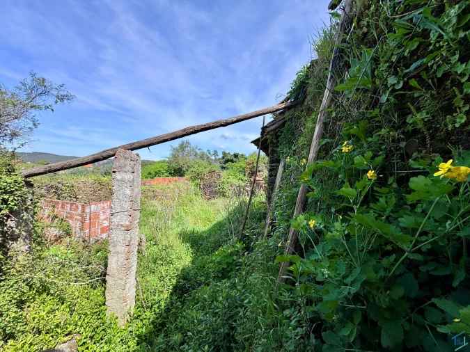 Moradia T3 para Venda em Olalhas Foto 22