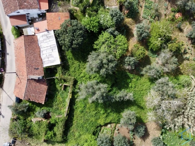 Moradia T3 para Venda em Olalhas Foto 35