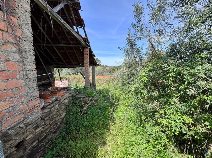 Moradia T3 para Venda em Olalhas Foto 5