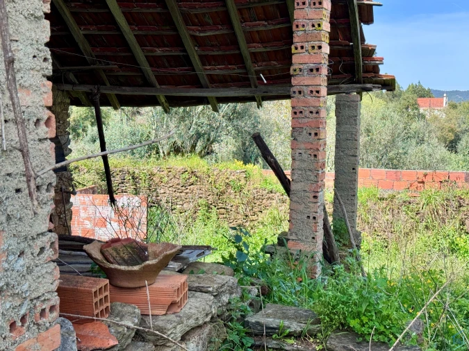 Moradia T3 para Venda em Olalhas Foto 6