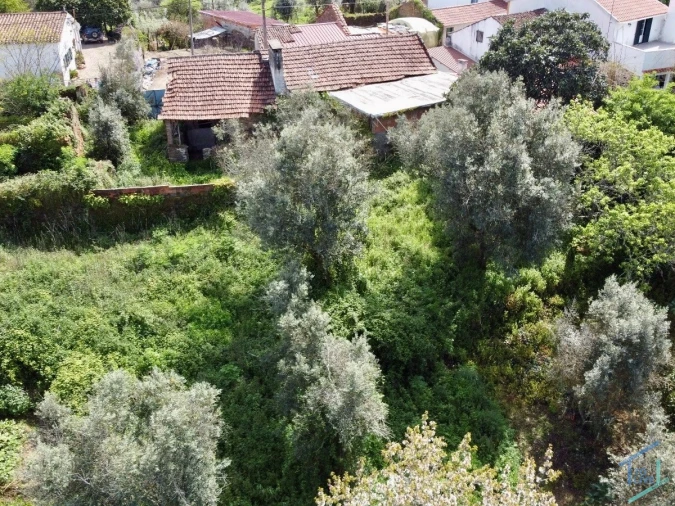 Moradia T3 para Venda em Olalhas Foto 36