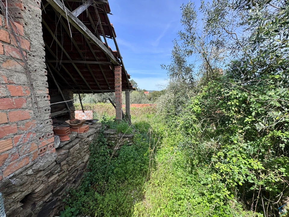 Moradia T3 para Venda em Olalhas Foto 5