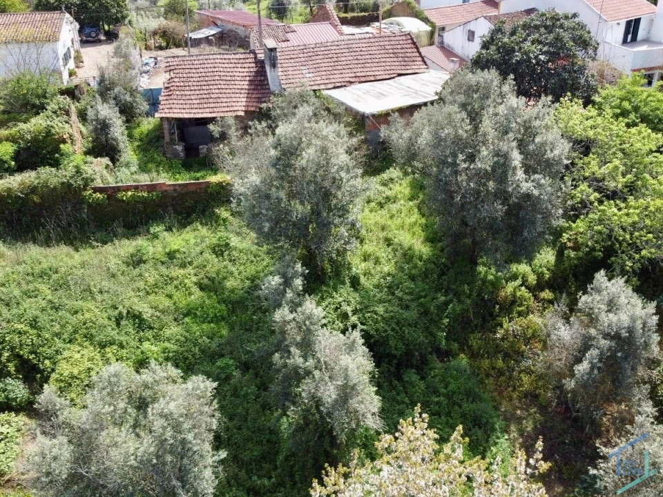 Moradia T3 para Venda em Olalhas Foto 36