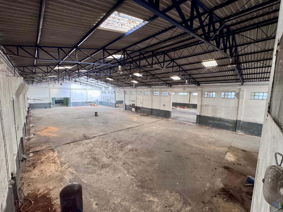 Negócio para Venda em Malhou, Louriceira e Espinheiro Foto 10