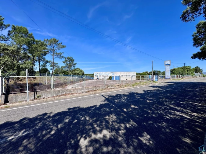 Negócio para Venda em Malhou, Louriceira e Espinheiro Foto 32